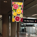 32 "Double Finster facing LCD Advertising Display